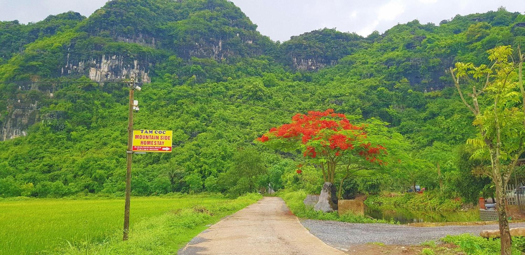 Tam Coc Moutainside Homestay ニンビン エクステリア 写真