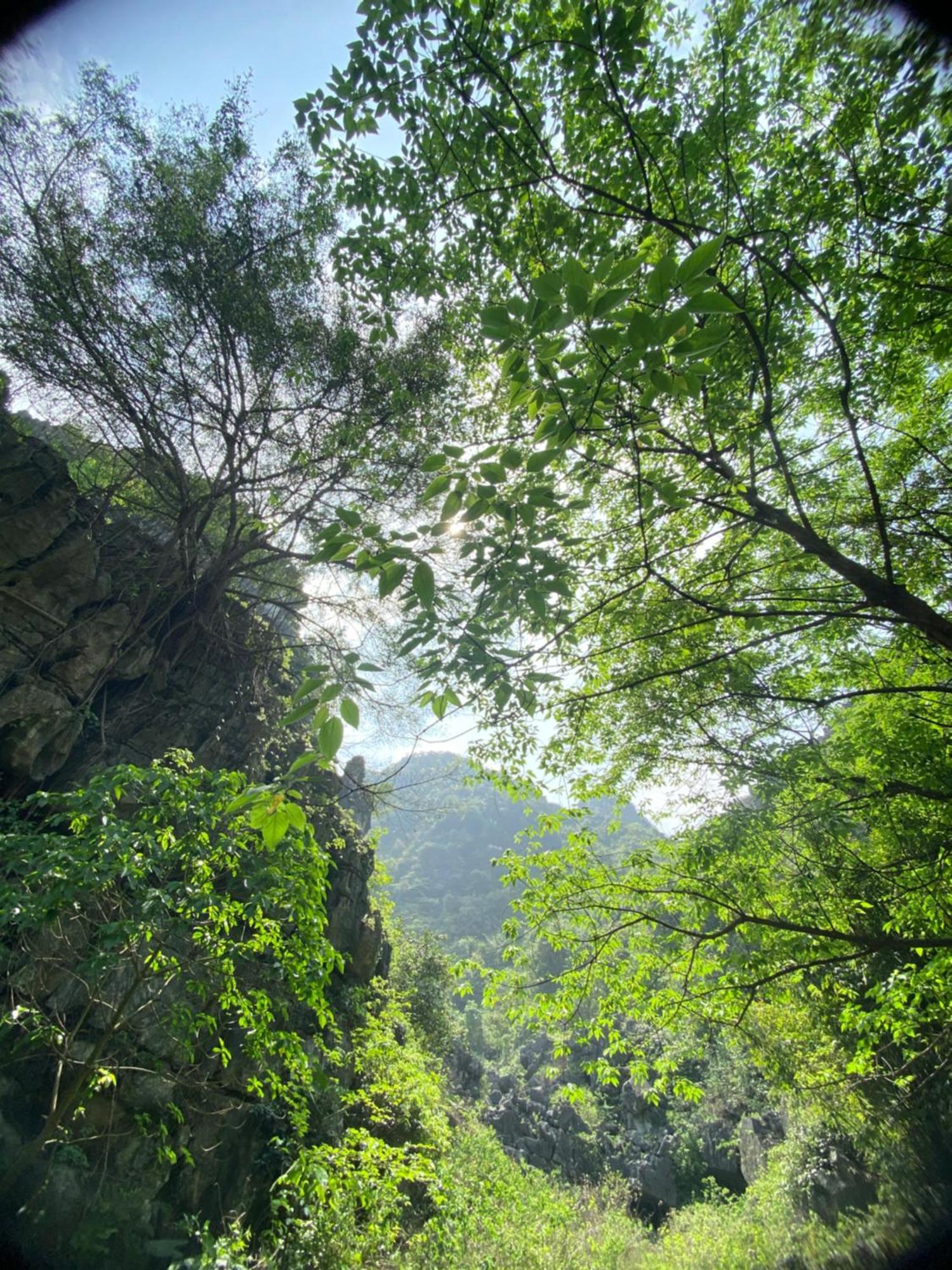 Tam Coc Moutainside Homestay ニンビン エクステリア 写真
