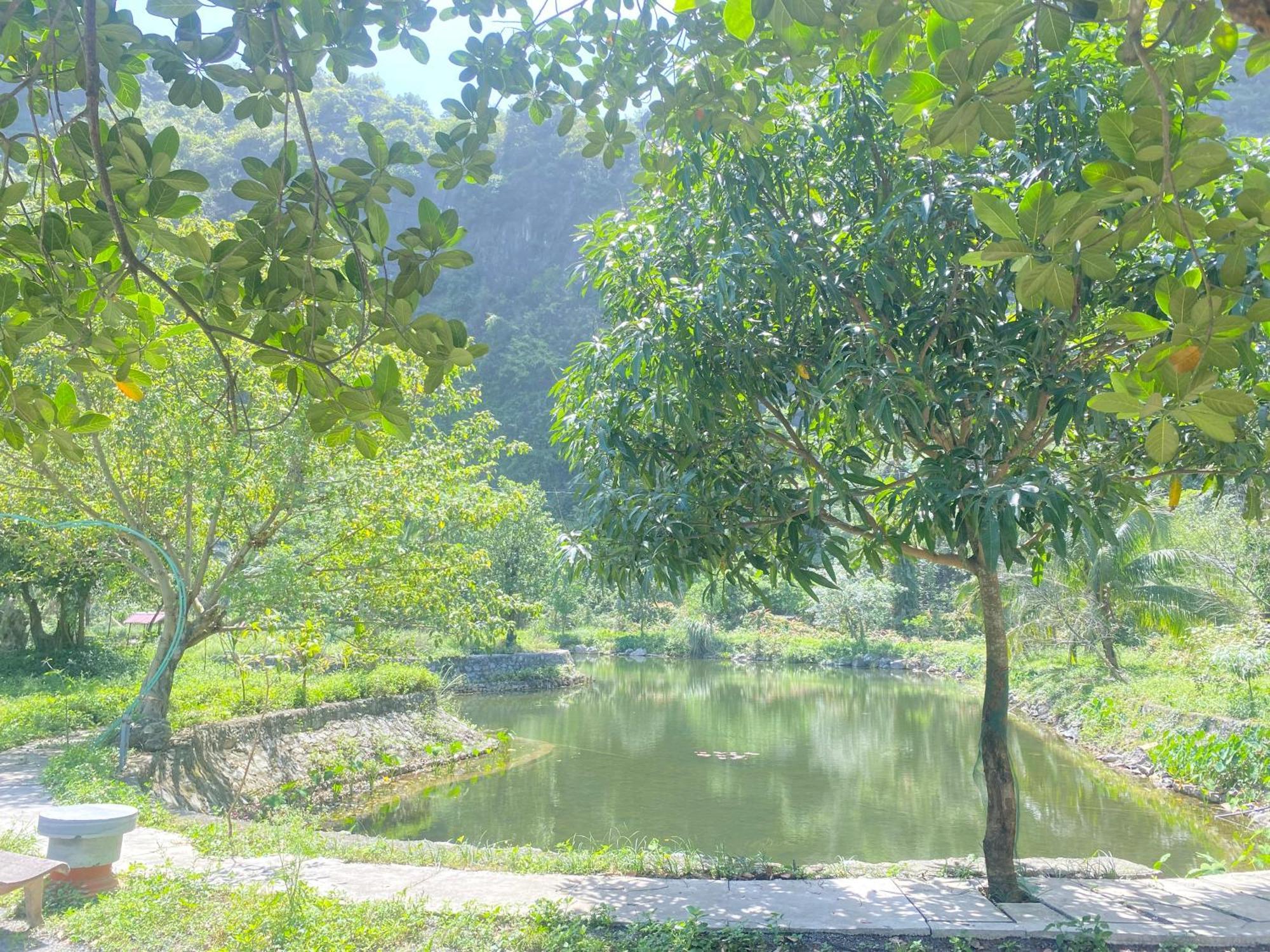 Tam Coc Moutainside Homestay ニンビン エクステリア 写真